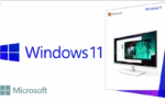 Microsoft's driver docs suggest a Windows 11 October release...