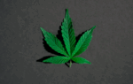Amazon would like to sell marijuana online...