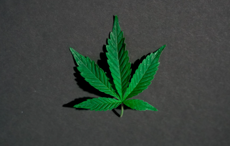 Amazon would like to sell marijuana online Amazon would like to sell marijuana online