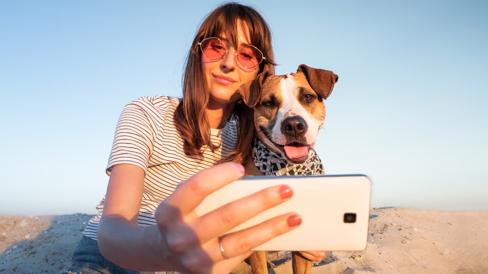 Here’s how your dog can video call you when he misses you Here’s how your dog can video call you when he misses you