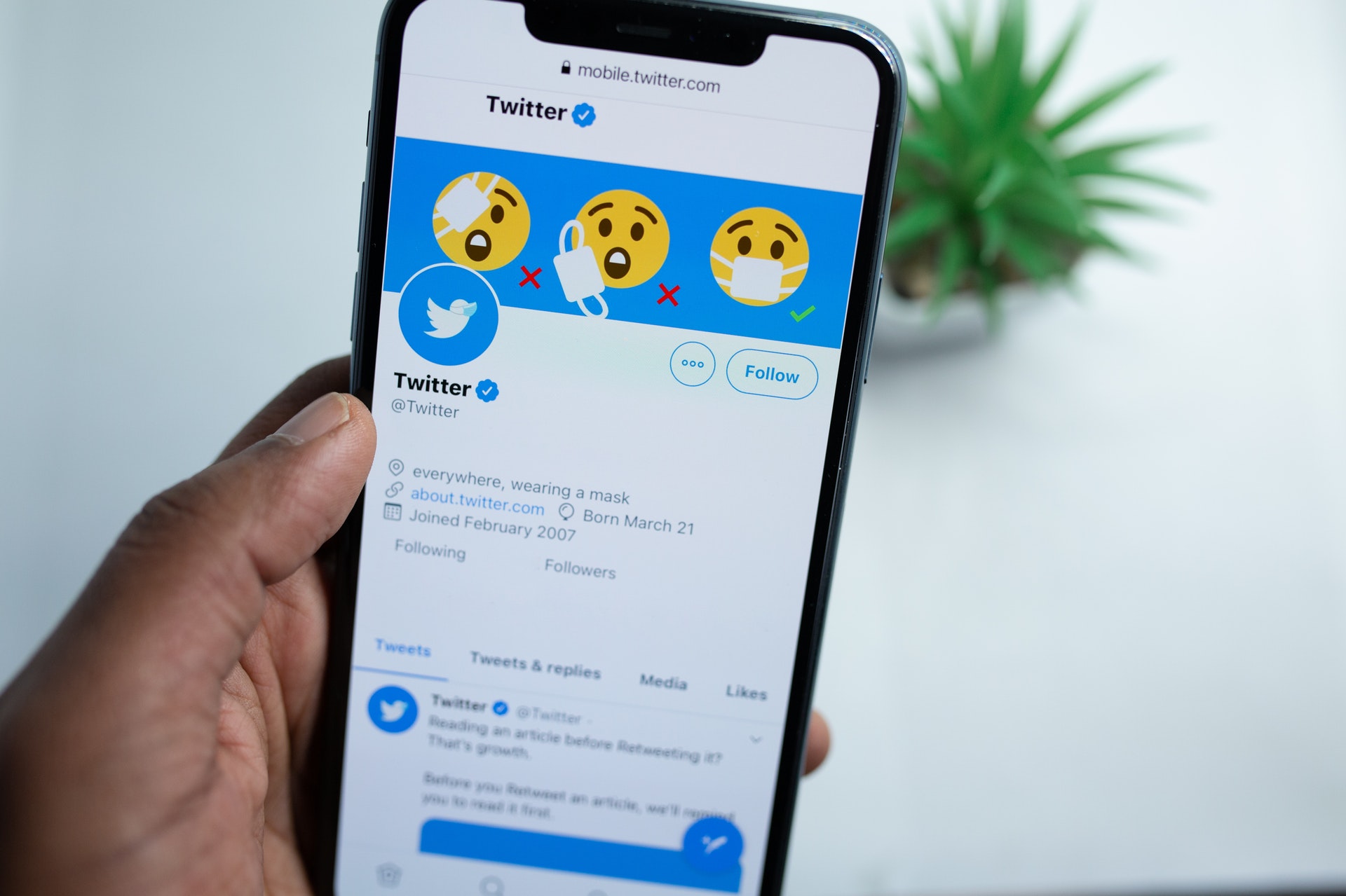 Twitter Blue: finally active in the United States Twitter Blue: finally active in the United States