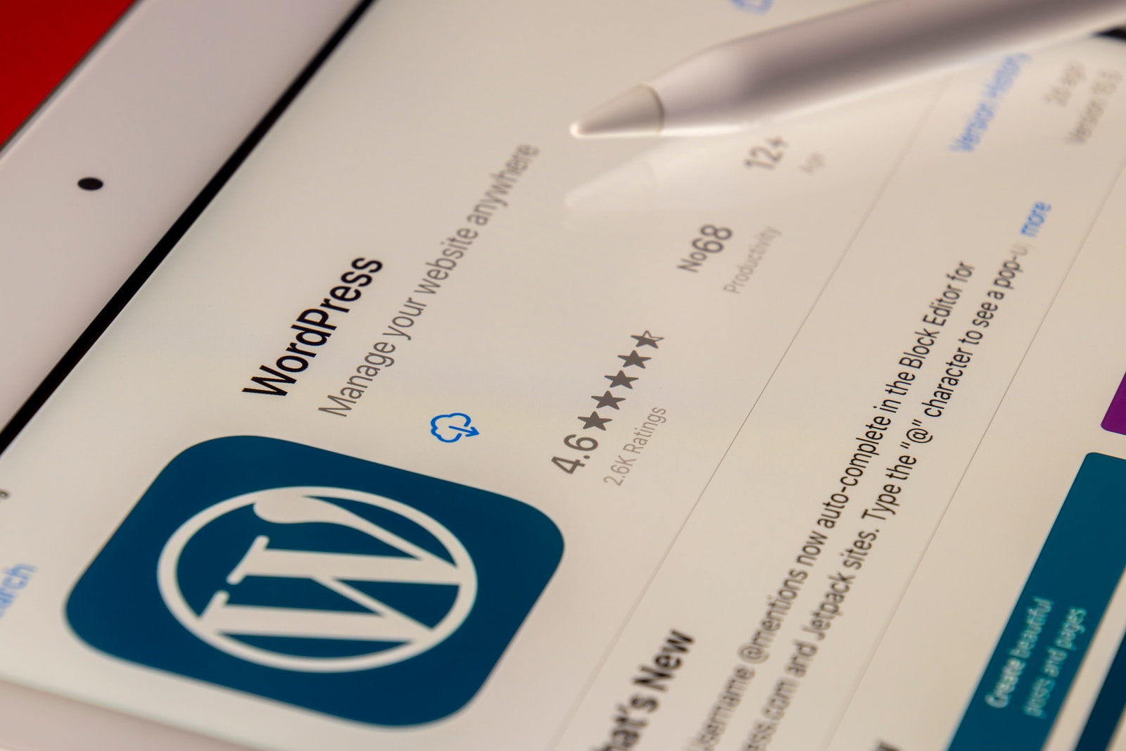 How to change your favicon in WordPress How to change your favicon in WordPress