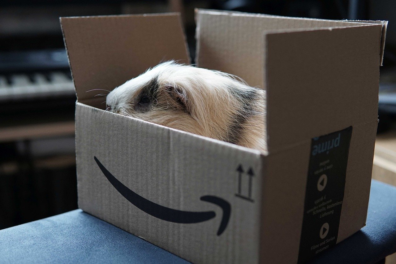 How to share an Amazon Prime Video Account