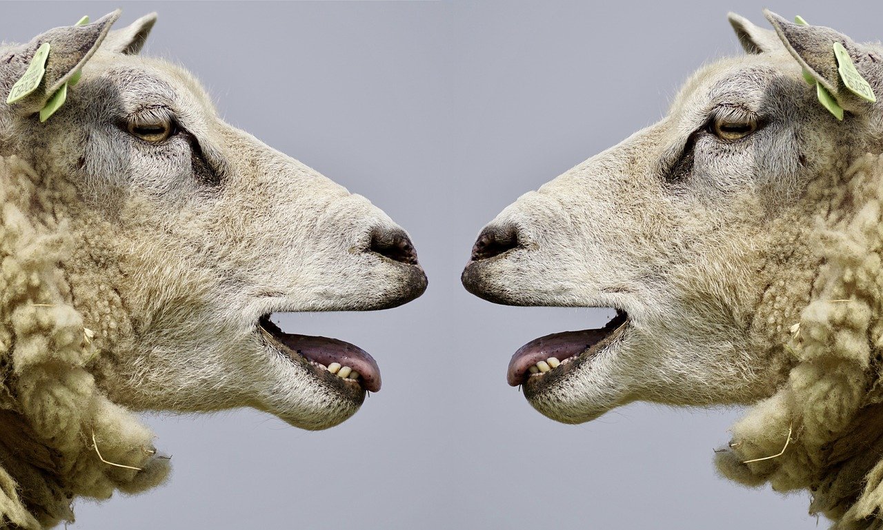 Why you have to ignore your average conversion rate Why you have to ignore your average conversion rate