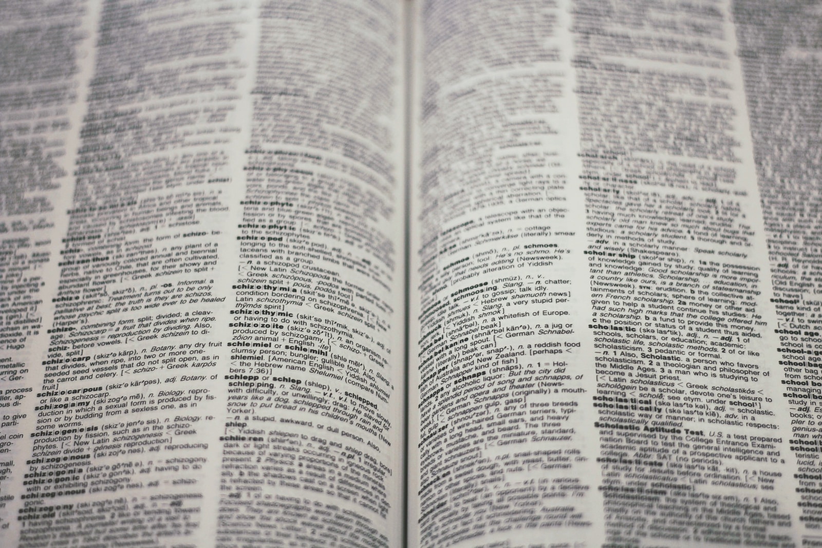 How to use Word for free How to use Word for free