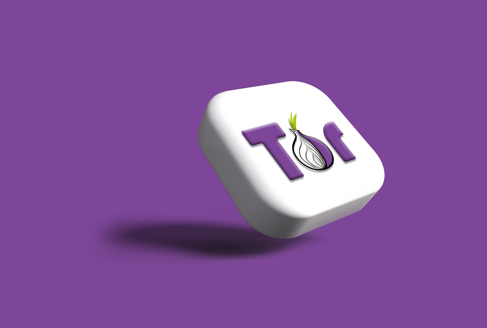 How to use Tor browser on Windows 11 How to use Tor browser on Windows 11