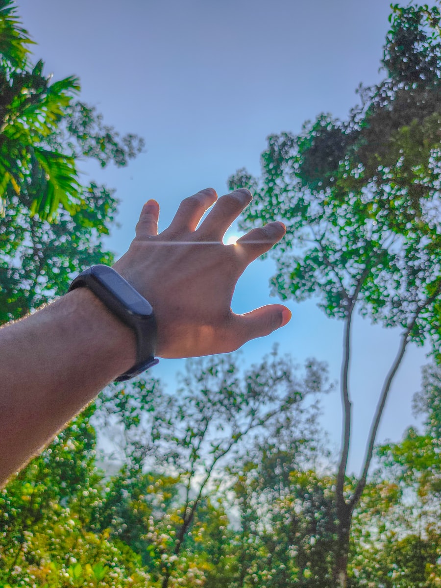 Pixel Watch To Get Apple Watch-like Bands Pixel Watch To Get Apple Watch-like Bands