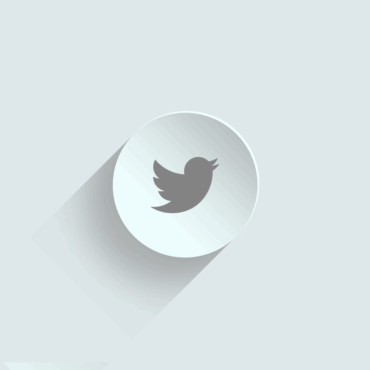 icon, twitter icon, twitter