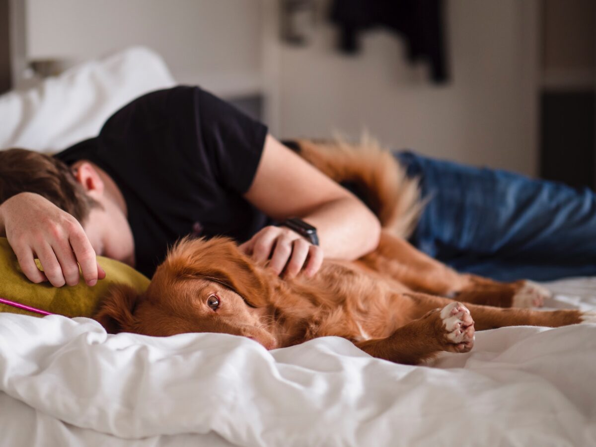 If you want to sleep well, you should take this into account