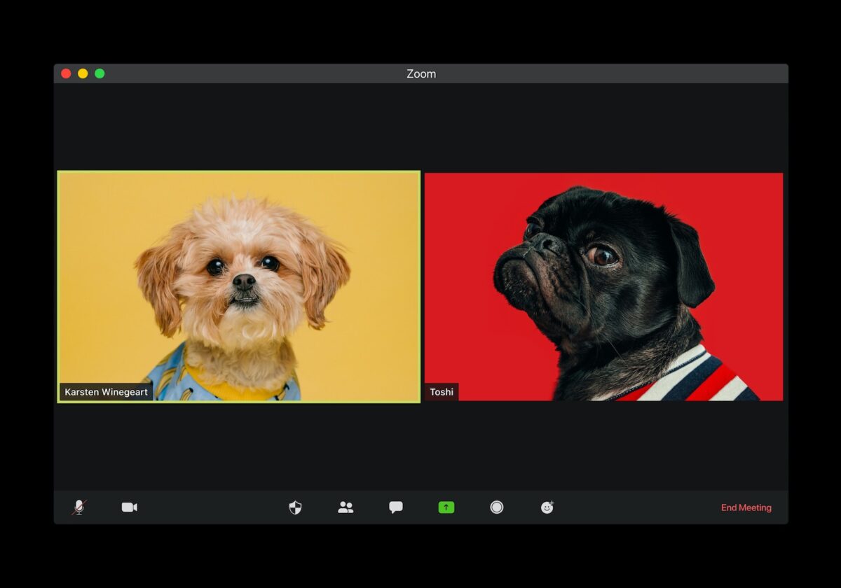 Zoom Evolution: A Glimpse into the Future of Video Conferencing