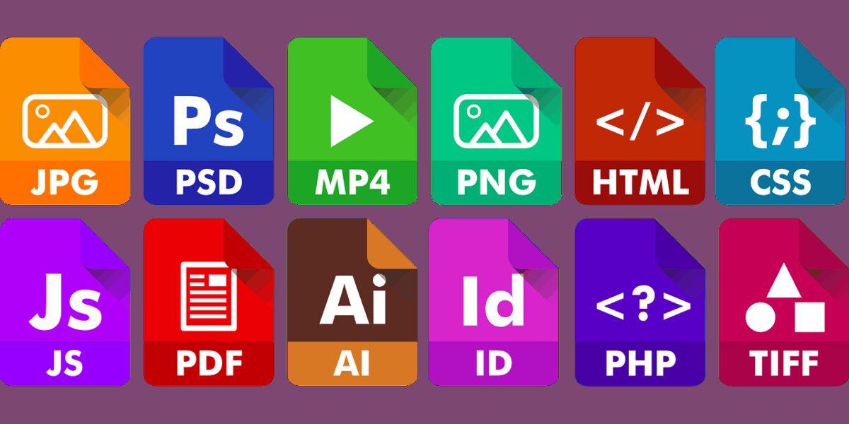 PDF Editor: A Comprehensive Guide On How to Edit a PDF